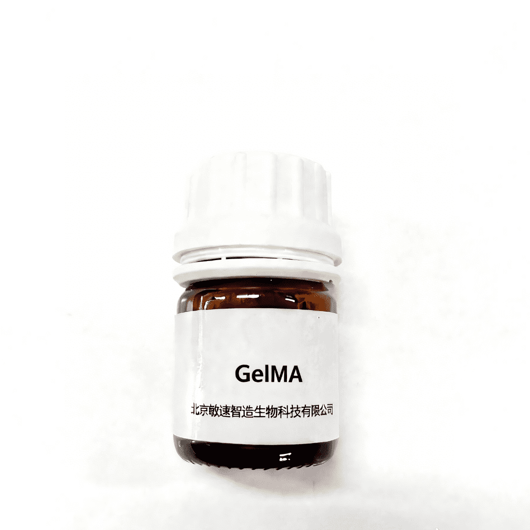 GelMA产品图片